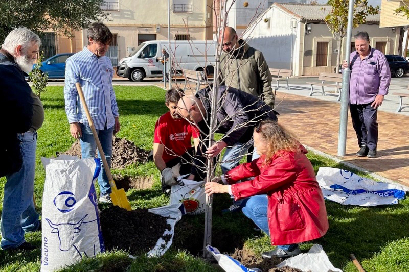 Cáritas planta un árbol en la ciudad buscando la reflexión: es una propuesta, algo que debe cuidarse