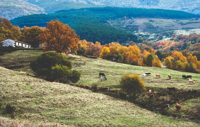 Castilla y León, el destino perfecto para este otoño-invierno como así lo avalan sus datos turísticos