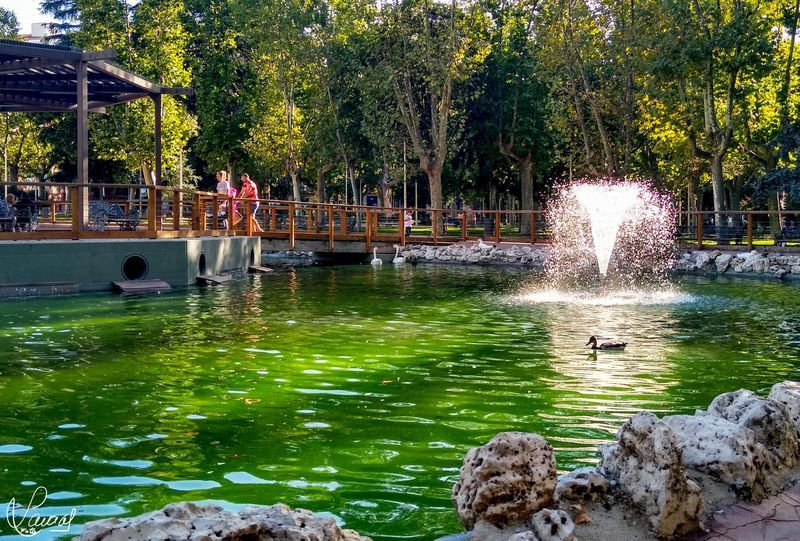 La riqueza arquitectónica de Salamanca: recorrido por las fuentes más destacadas de la ciudad