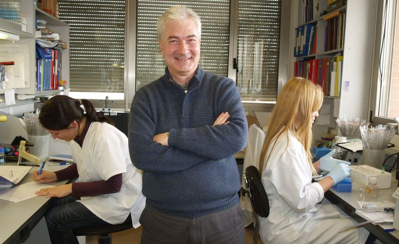 Descubrimiento de investigadores salmantinos que podría dar lugar a un nuevo fármaco frente al cáncer de colon