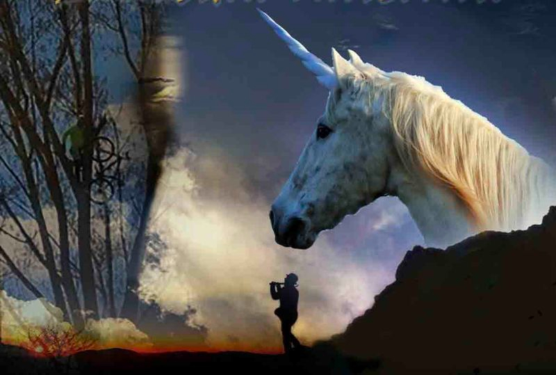 Entrada libre para ver en el Liceo la película protagonizada de niños del Hospital de Salamanca