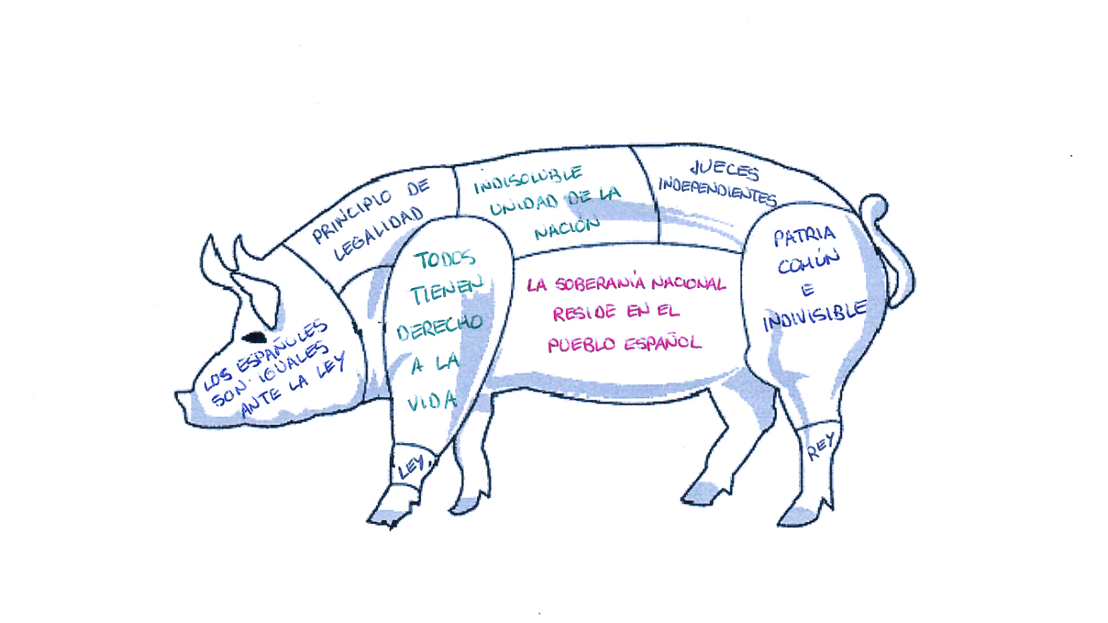 Y a la Constitución le llegó su San Martín