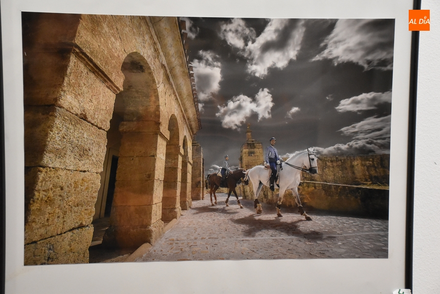 Presentadas 12 imágenes al XX Concurso de Fotografía de la Feria del Caballo
