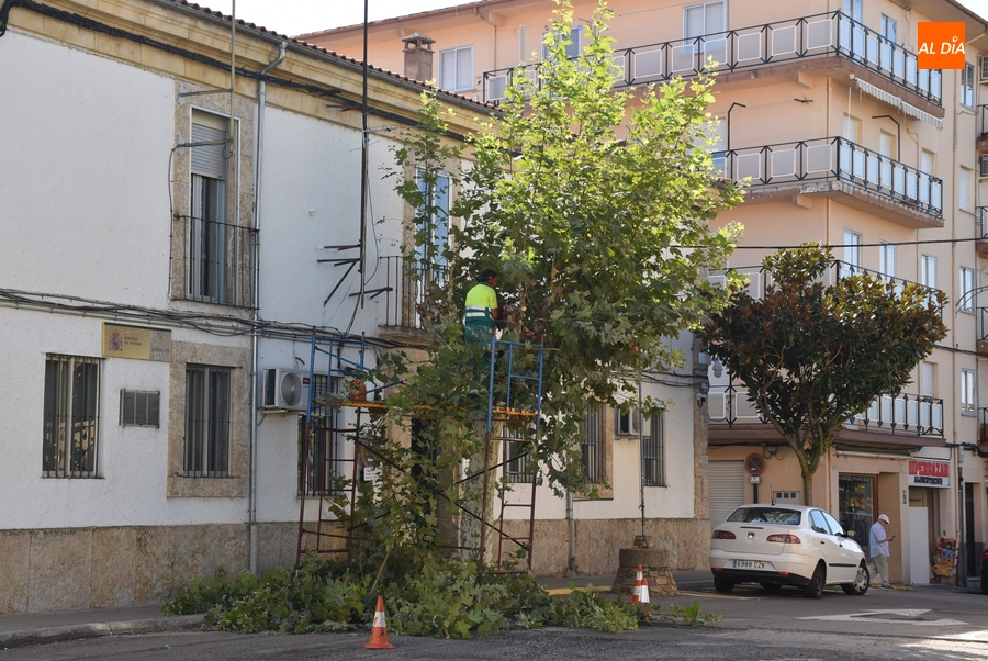 Aprobadas las bases de la oposición para cubrir dos plazas fijas de jardinero