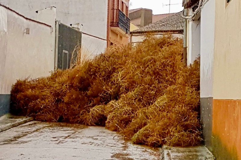 Suspensión de actividad e imágenes impactantes: La llegada de la borrasca Domingos deja su huella en Peñaranda y comarca