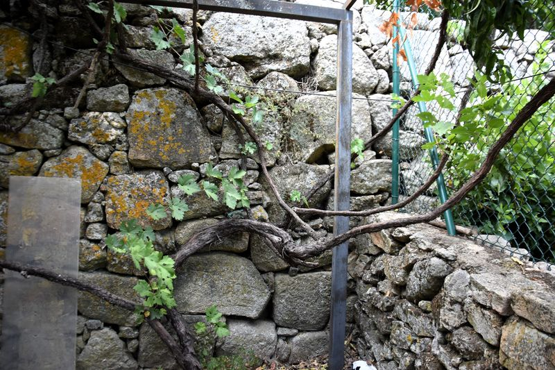 La sierra de su casa