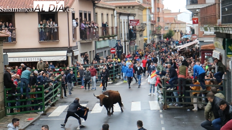 Vitigudino vivirá el 6 de diciembre su III Toro de San Nicolás