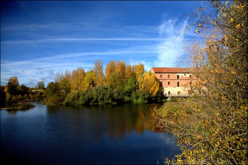 El otoño alrededor de La Fábrica de Harinas
