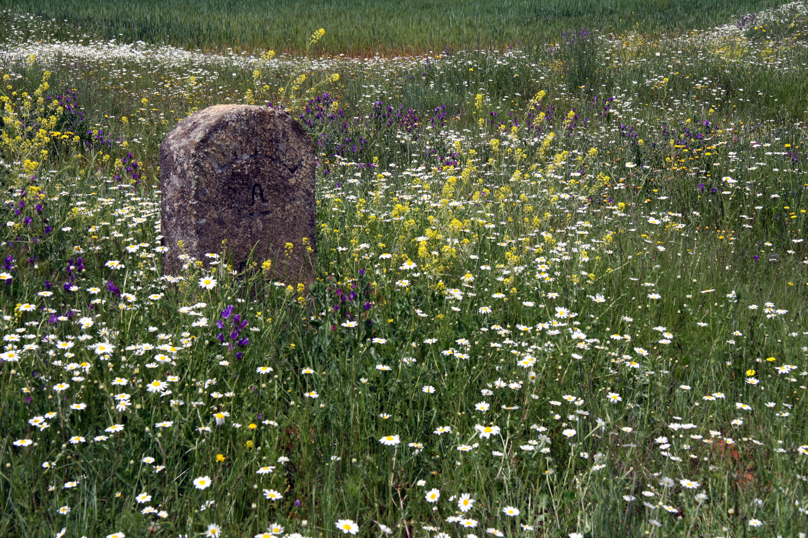 Un patrimonio de todos 