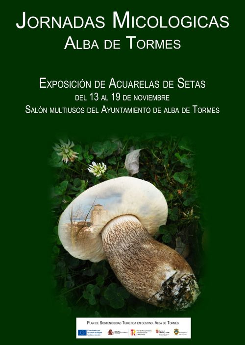 Fin de semana micológico en Alba de Tormes