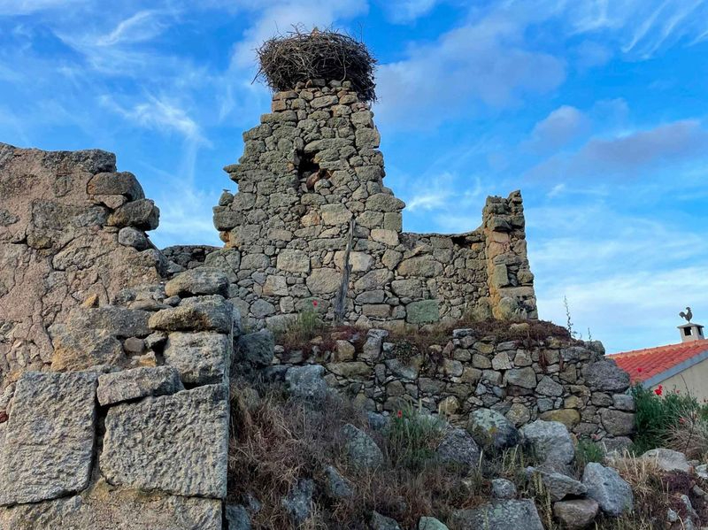 El Palacio de Zamayón entra en la lista roja del patrimonio