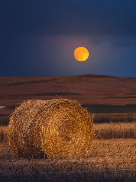 Jorge Tomás, ganador del Concurso de Fotografías Crisol de Caminos