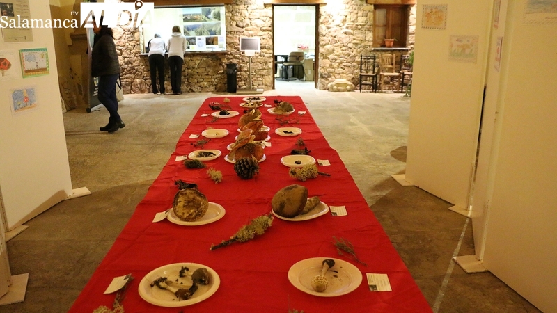 Adezos promueve en Aldeadávila de la Ribera una jornada completa para conocer las setas