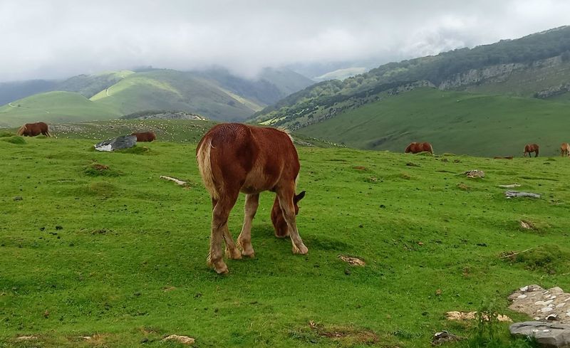 Visitas guiadas gratuitas, con degustaciones, en Los 1.000 otoños de Salamanca 