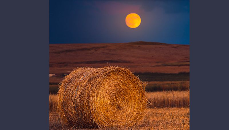  Las mejores fotografías del proyecto de voluntariado juvenil ambiental ‘Crisol de caminos’