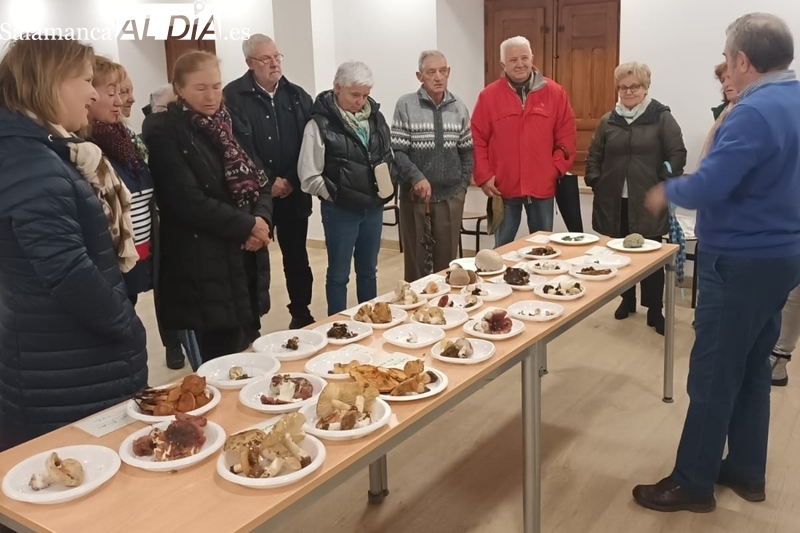 Entretenida actividad micológica en Bañobárez