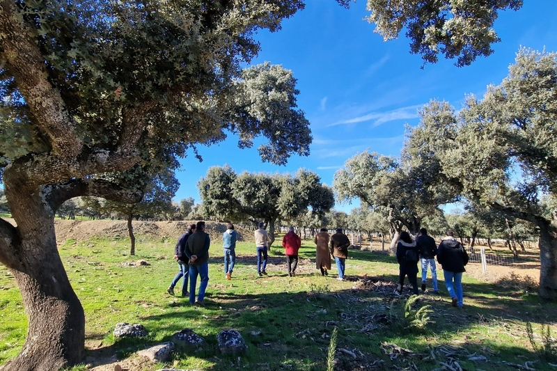 Dehesas con futuro, un hábitat que hay que preservar y aprovechar  