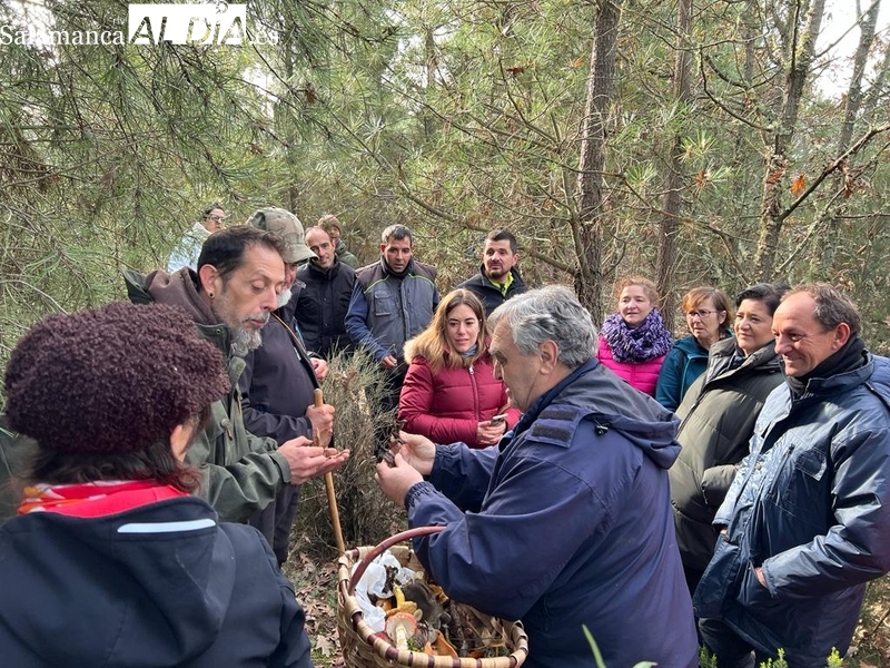 Excelente jornada para conocer las setas en Pereña de la Ribera con el experto Juan Antonio Sánchez Rodríguez