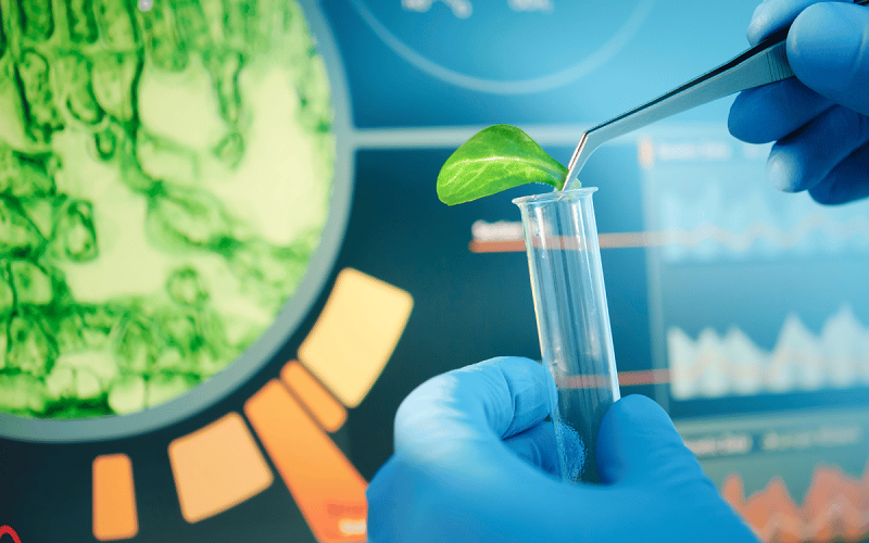 Sambiotec: Innovación y éxito en la biotecnología moderna