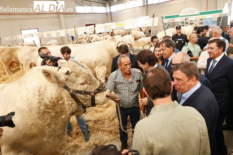 Anuncio oficial de las fechas de Salamaq24