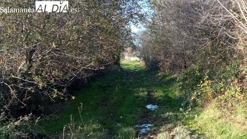 El C.D. Abadengo en marcha y el INICE organizan una jornada de voluntariado ambiental en Lumbrales