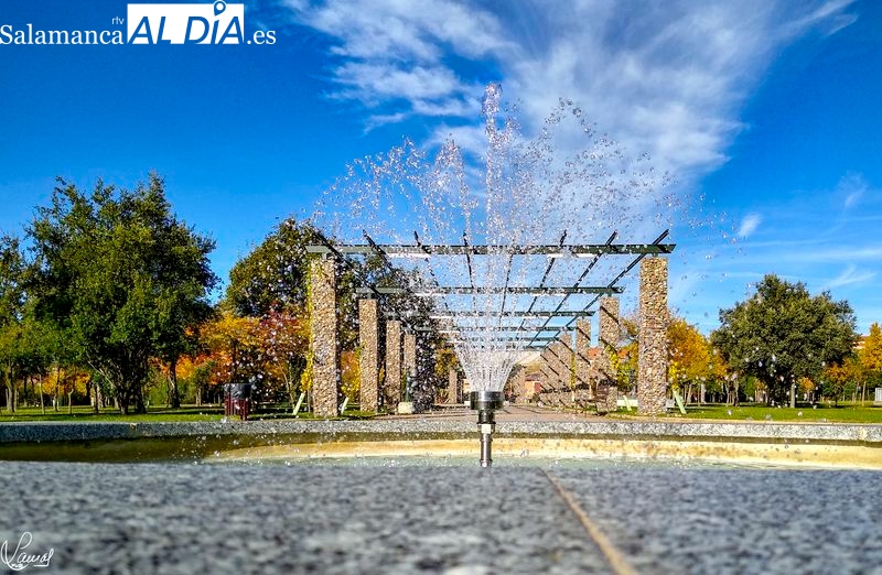 ¿Has paseado por uno de los espacios de la ciudad con mayor biodiversidad en flora y fauna?
