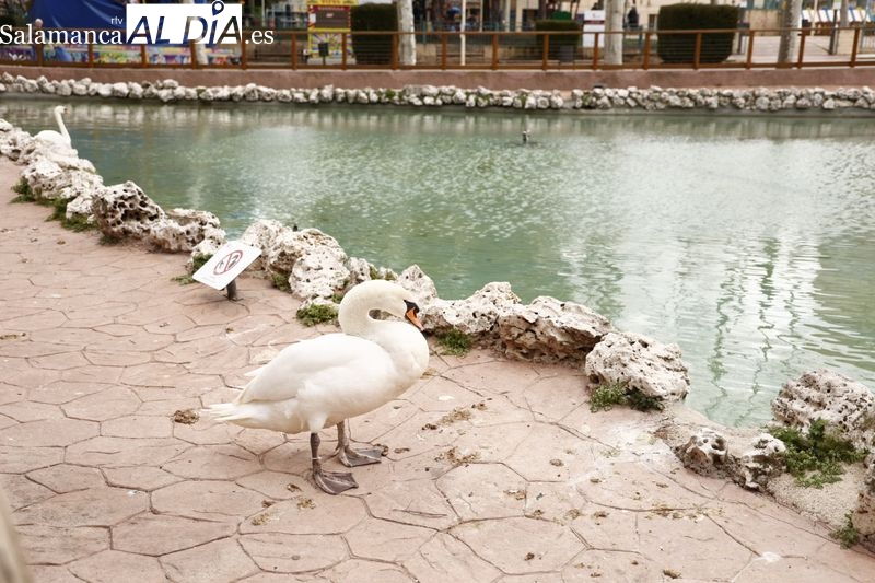 Aviso para los usuarios del parque de la Alamedilla