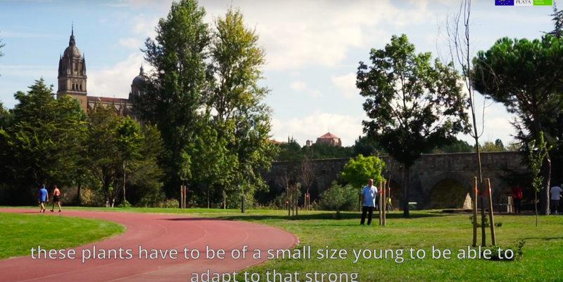Un nuevo vídeo didáctico explica las actuaciones de renaturalización llevadas a cabo en la ciudad dentro del proyecto LIFE Vía de la Plata