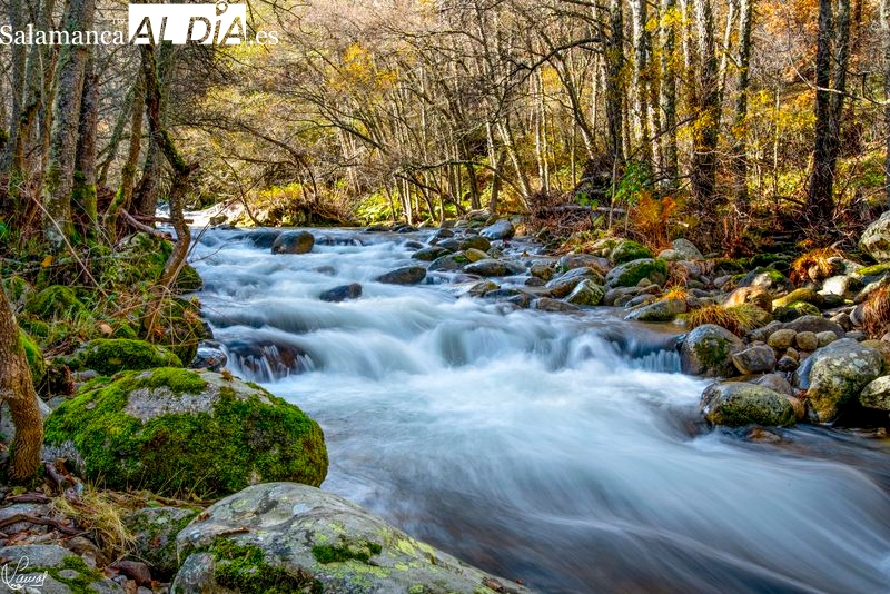 El otoño campa a sus anchas por la Sierra de Béjar