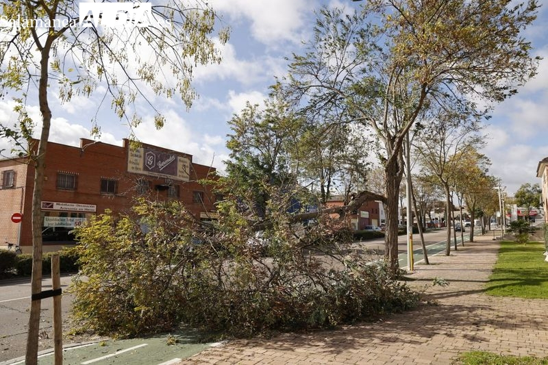 Gestionadas más de 480 emergencias producidas por las fuertes rachas de viento en Castilla y León