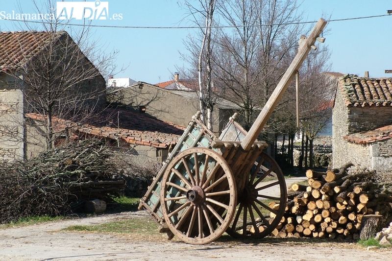 Durante el siglo XXI la comarca de Vitigudino ha perdido el 36% de su población