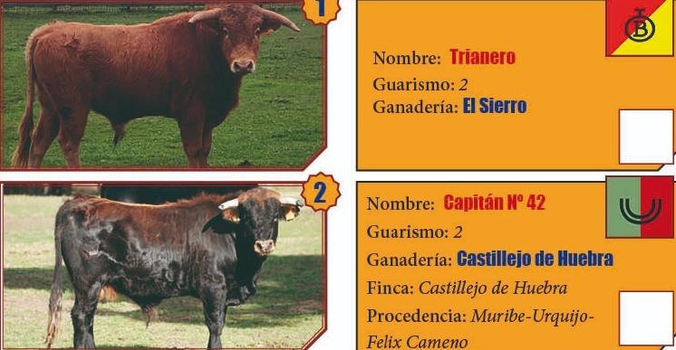 Desvelada la imagen de los machos que protagonizarán la final del Bolsín 2024