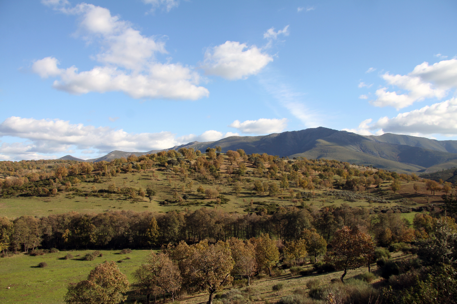 Funciones ecologicas 