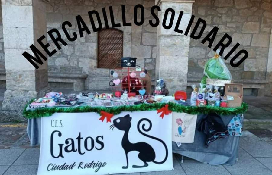 CES Gatos instalará este sábado una mesa en el mercadillo