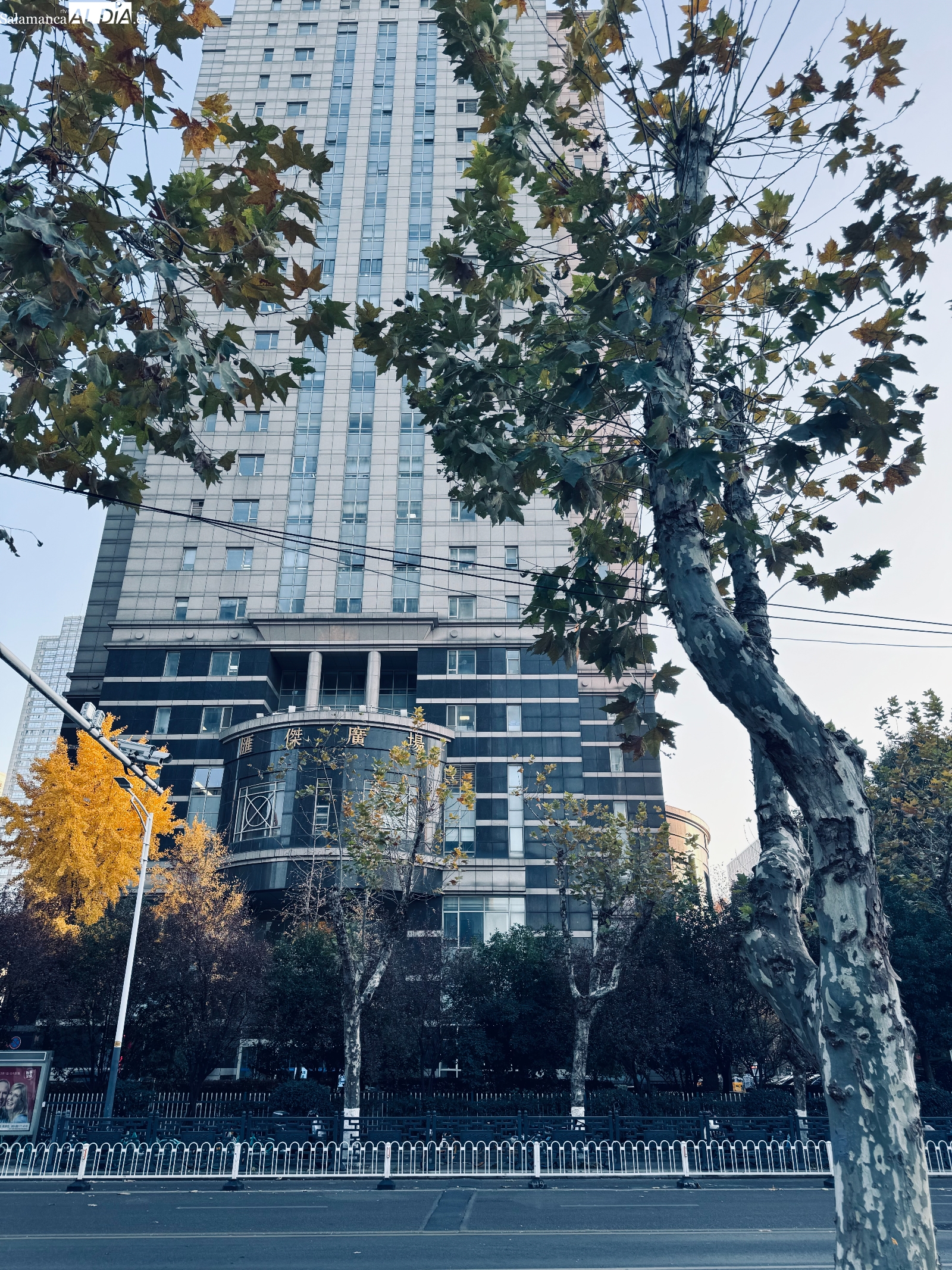 La música callada en tu silencio