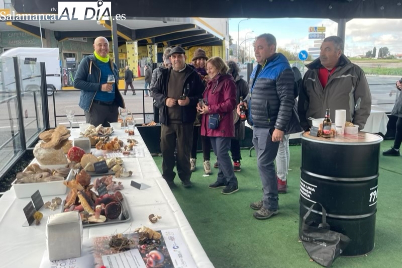 Rotundo éxito con numerosa participación para la IV Quedada Micológica ‘Tierra de Peñaranda’