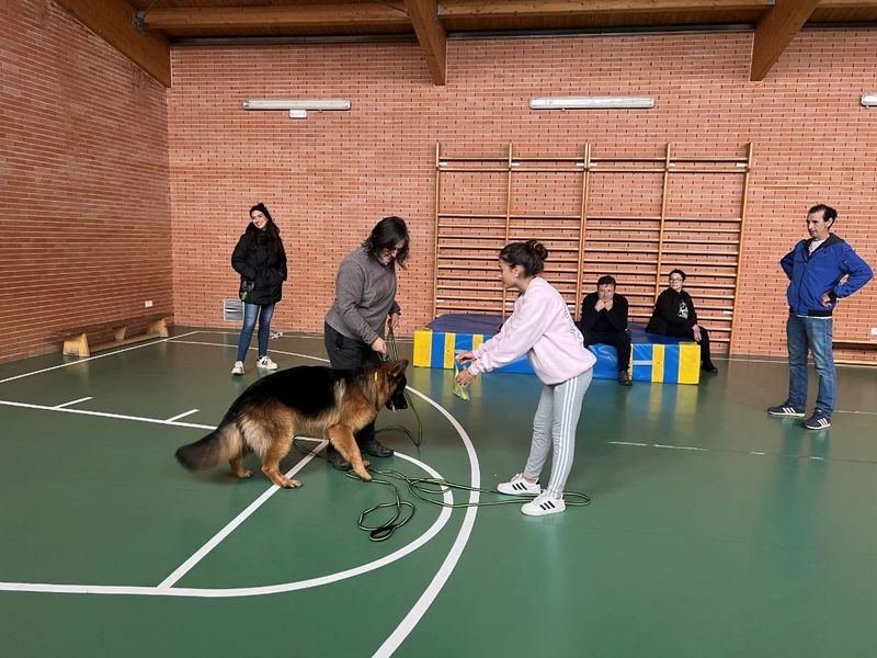 Nueva sesión de los Talleres Básicos de Adiestramiento Canino en Carbajosa