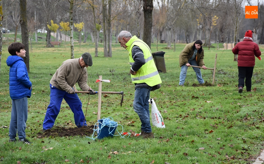 Asenavis repobla las riberas del Águeda con 90 ejemplares de su árbol más característico
