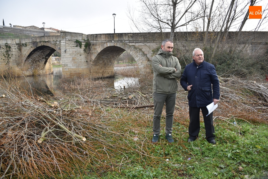 Arranca la corta de los árboles situados entrepuentes del lado del Arrabal