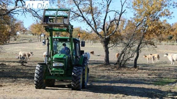 La Junta anticipa en diciembre 36,2 millones de ayudas de la PAC a agricultores y ganaderos salmantinos