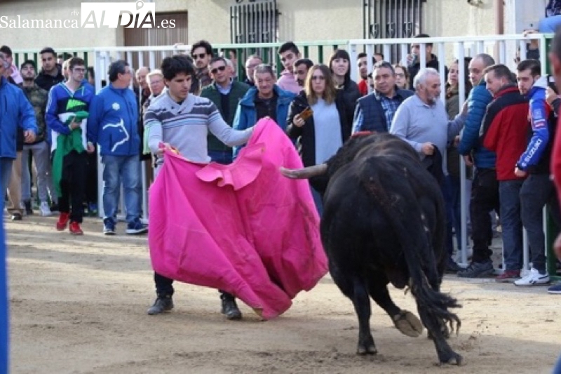 Una mesa redonda con importantes especialistas presentará el V Toro de San Blas en Babilafuente
