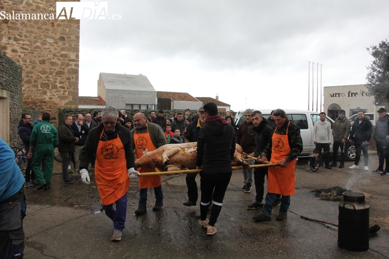 Sobradillo revive la matanza tradicional con una gran afluencia de público