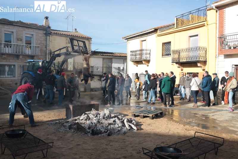 Saucelle celebra con una excelente afluencia de público su XIII Matanza Tradicional