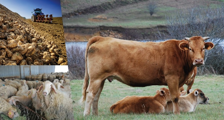 ‘Todo lo que somos’, la nueva campaña de la Junta que mejora la imagen del sector agrario y agroalimentario