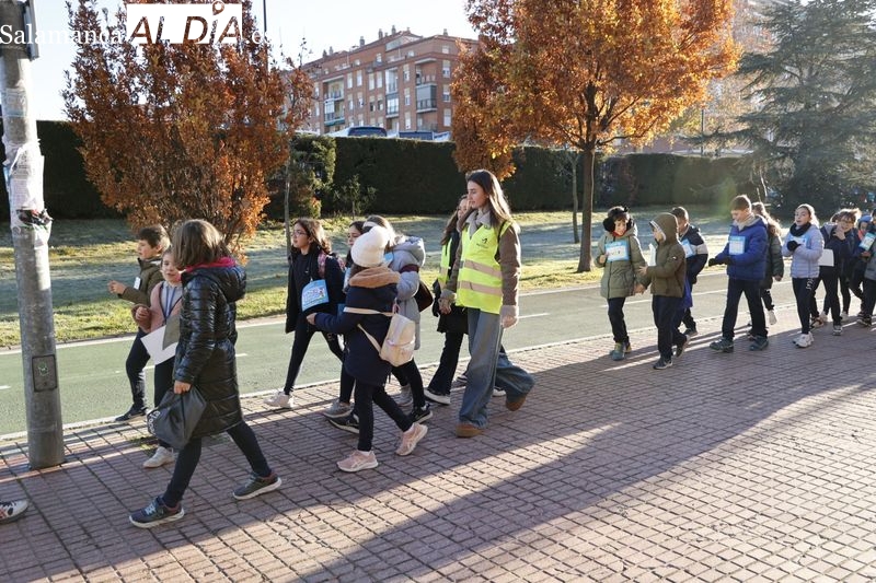 Escolares de Maristas caminan para ayudar a ONGs de Salamanca