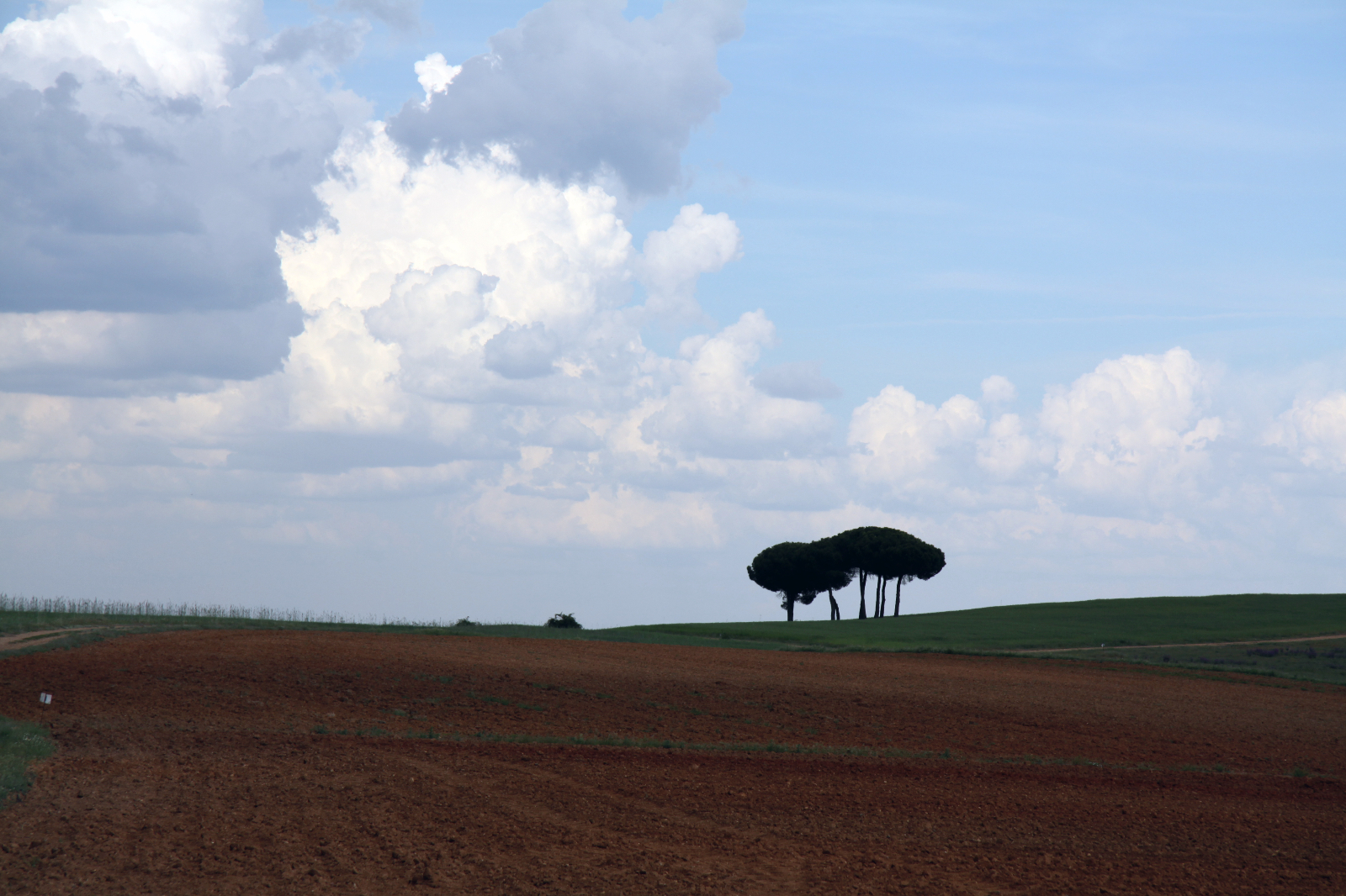 Productos derivados de la actividad ganadera 