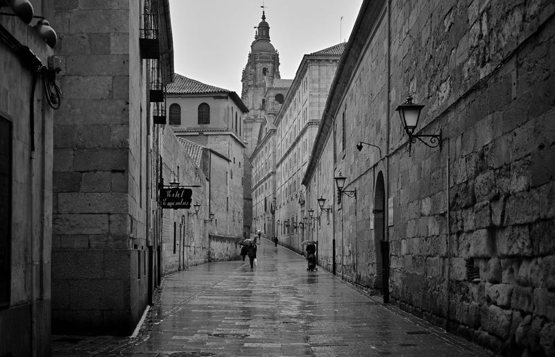 Camino hacia el saber