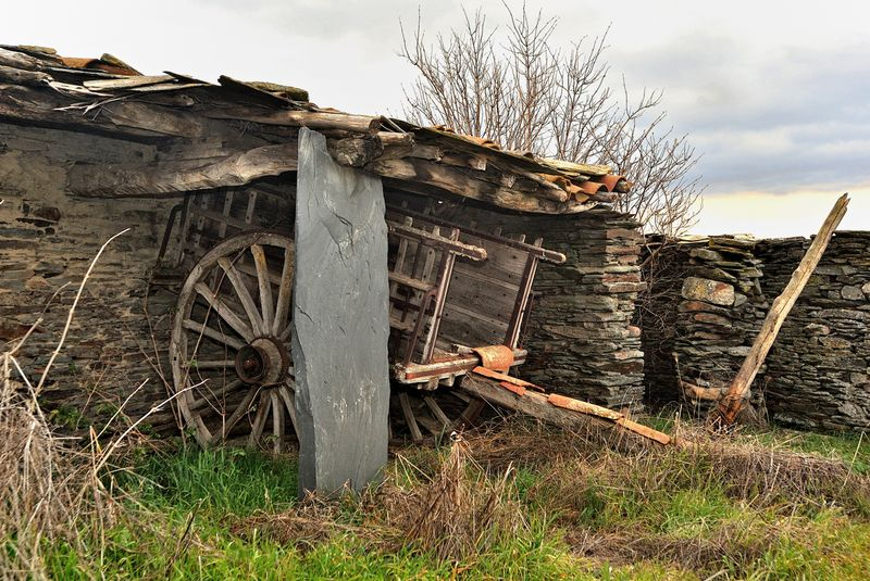 La protección del desuso  