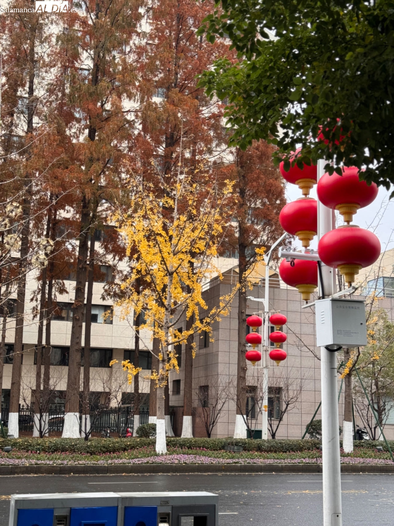 Tu luz yo la persigo si me alejo