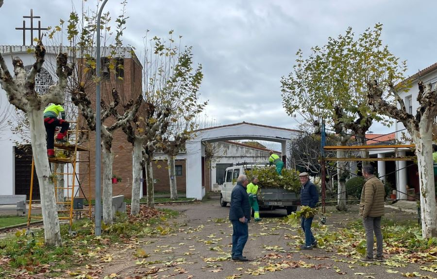José Manuel Jerez y Rubén Benito comprueban la marcha de la poda en Sanjuanejo